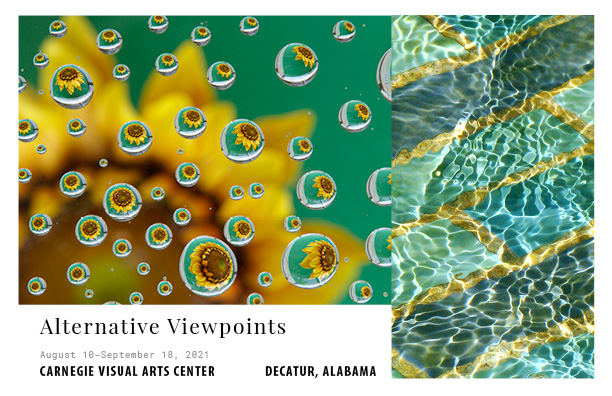Carnegie Visual Arts – Alternative Viewpoints